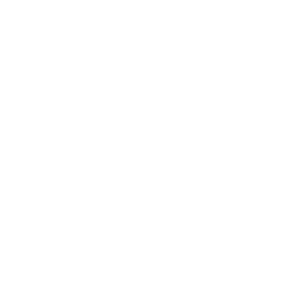 Our Vision