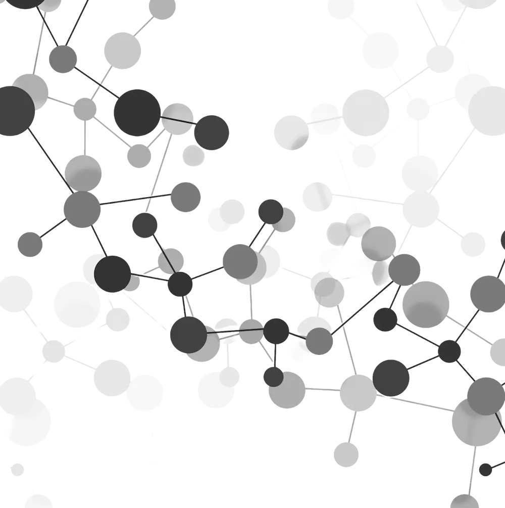 section-header-image