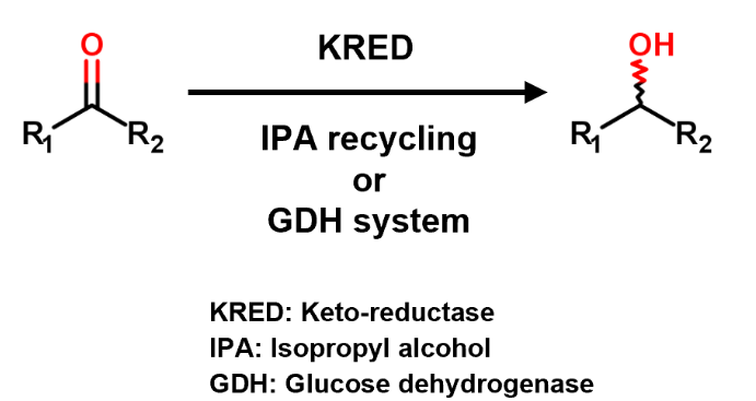 Carbonyl Reductase Series 