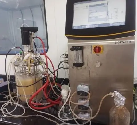 our-facility